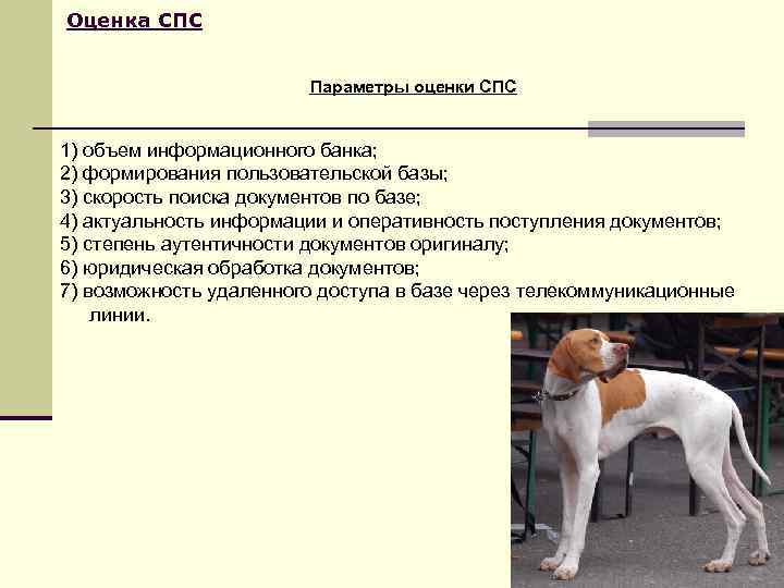 Оценка СПС      Параметры оценки СПС  1) объем информационного
