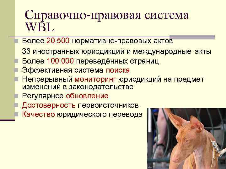   Справочно-правовая система WBL n Более 20 500 нормативно-правовых актов 33 иностранных юрисдикций и