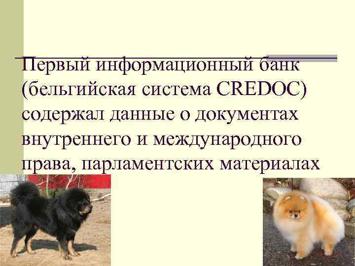 Первый информационный банк (бельгийская система CREDOC) содержал данные о документах внутреннего и международного права,
