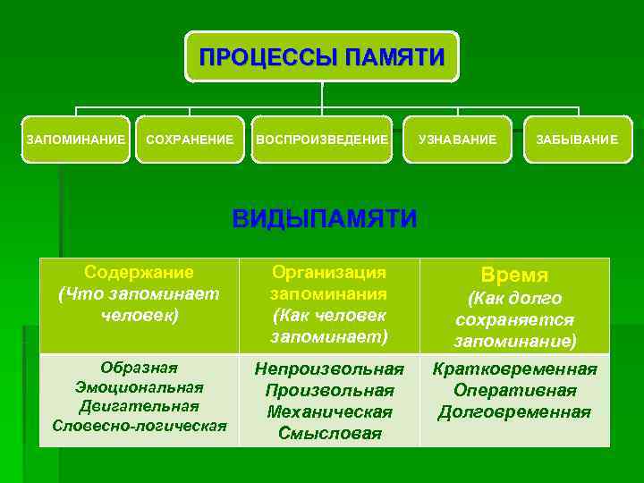     ПРОЦЕССЫ ПАМЯТИ  ЗАПОМИНАНИЕ  СОХРАНЕНИЕ  ВОСПРОИЗВЕДЕНИЕ  УЗНАВАНИЕ