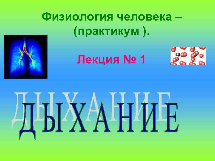 Физиология человека – (практикум ).  Лекция № 1 