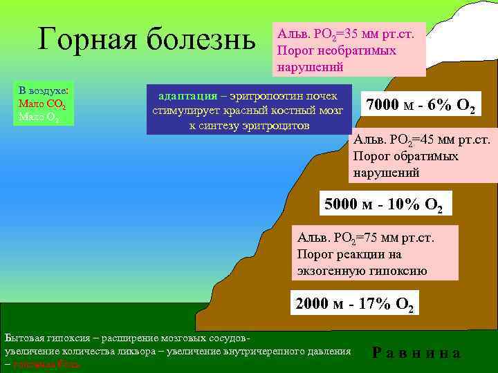  Горная болезнь      Альв. РО 2=35 мм рт. ст.