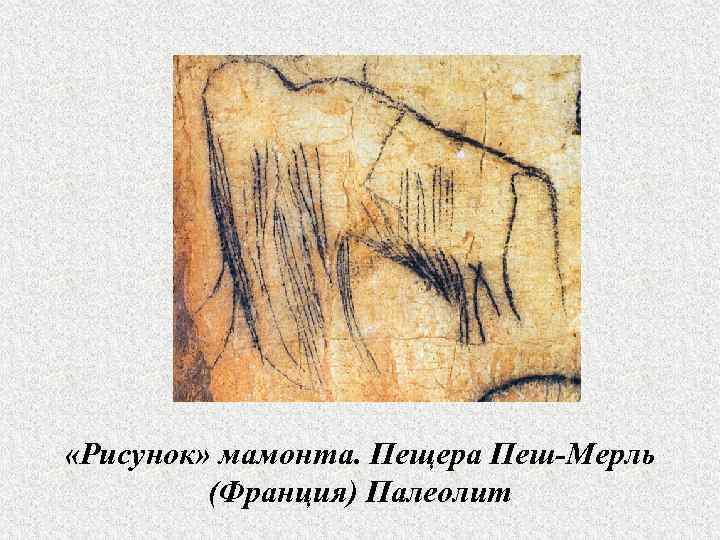  «Рисунок» мамонта. Пещера Пеш-Мерль   (Франция) Палеолит 