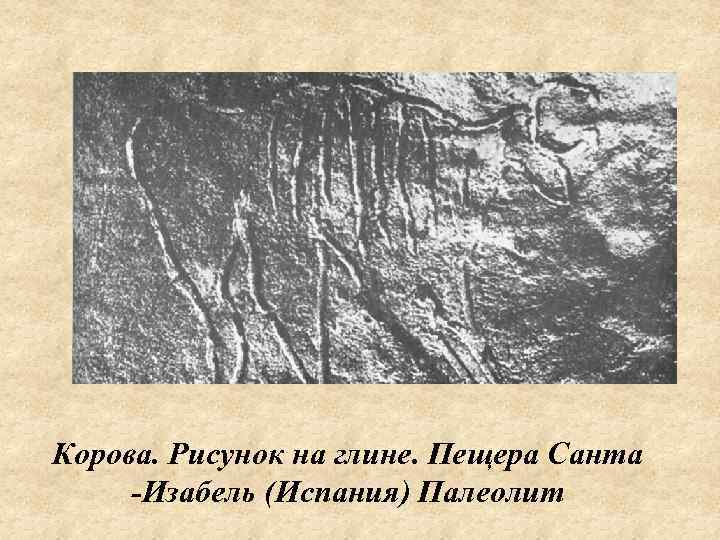 Корова. Рисунок на глине. Пещера Санта -Изабель (Испания) Палеолит 