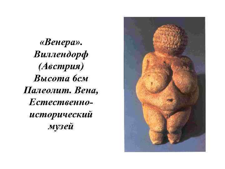   «Венера» .  Виллендорф  (Австрия)  Высота 6 см Палеолит. Вена,