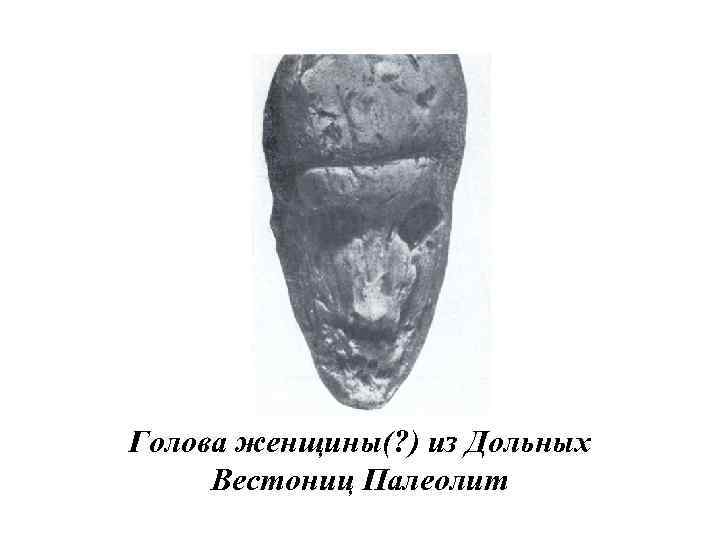 Голова женщины(? ) из Дольных Вестониц Палеолит 
