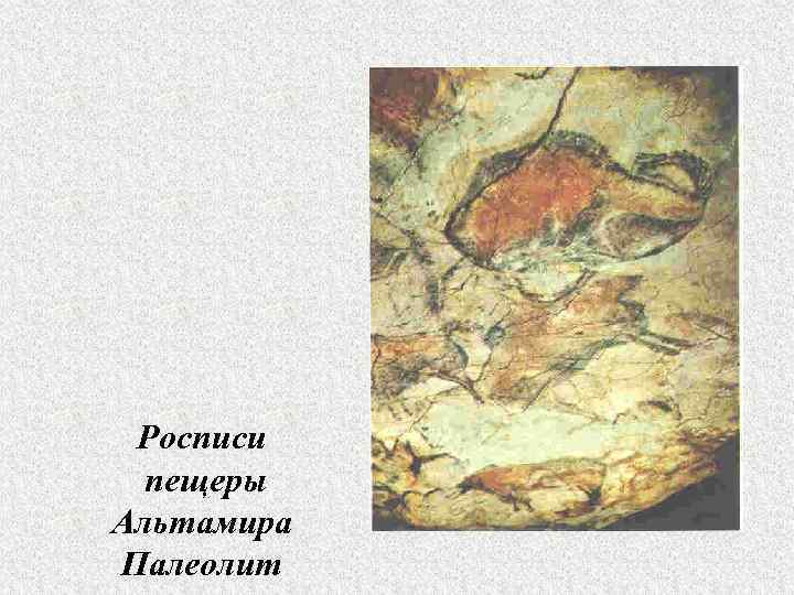  Росписи  пещеры Альтамира Палеолит 