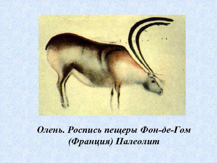 Олень. Роспись пещеры Фон-де-Гом  (Франция) Палеолит 