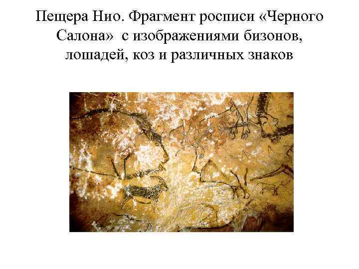 Пещера Нио. Фрагмент росписи «Черного  Салона» с изображениями бизонов, лошадей, коз и различных