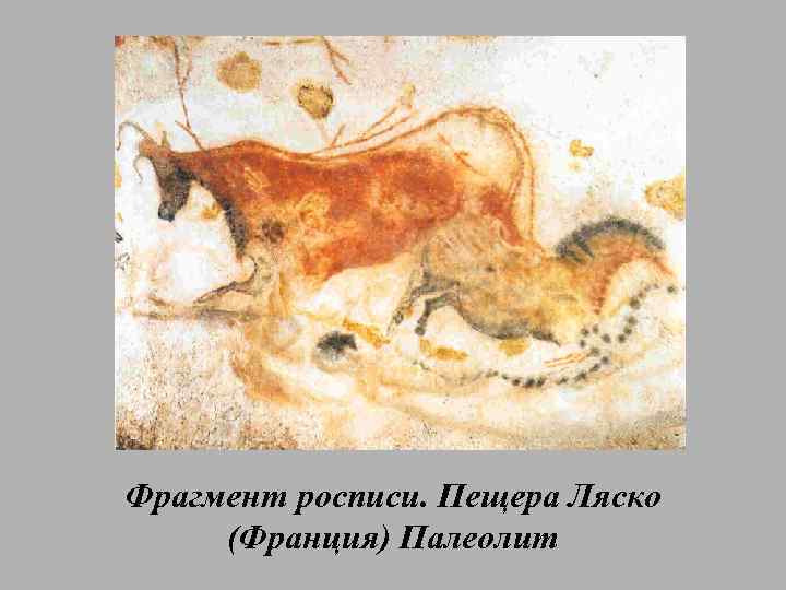 Фрагмент росписи. Пещера Ляско (Франция) Палеолит 