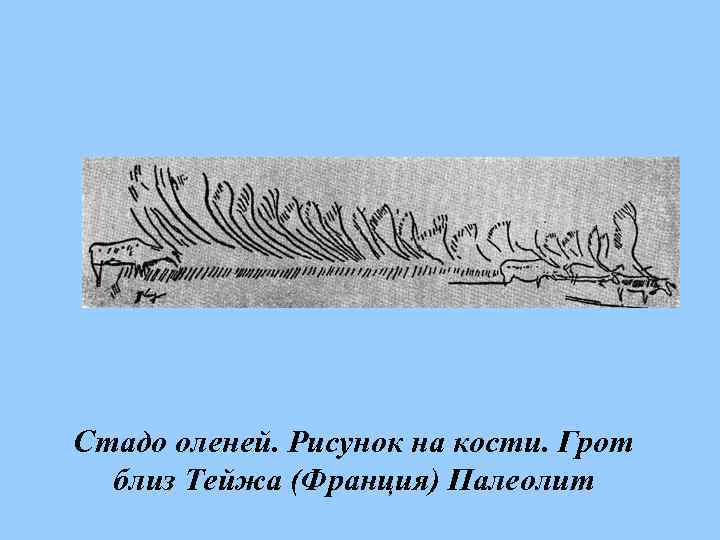 Стадо оленей. Рисунок на кости. Грот  близ Тейжа (Франция) Палеолит 
