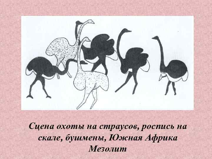 Сцена охоты на страусов, роспись на  скале, бушмены, Южная Африка   Мезолит