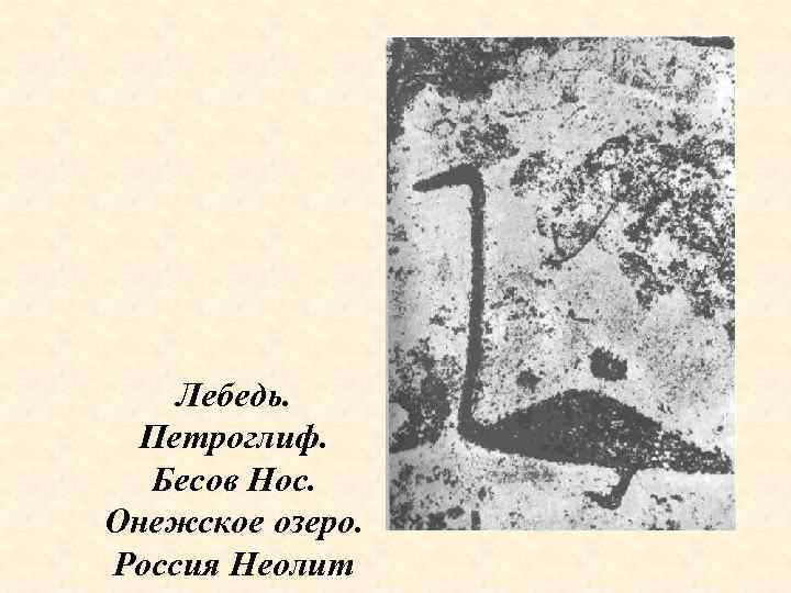  Лебедь.  Петроглиф.  Бесов Нос. Онежское озеро. Россия Неолит 