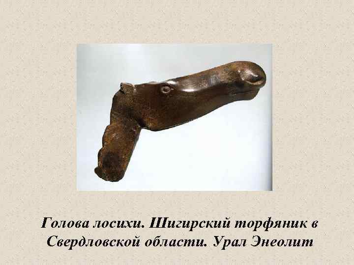 Голова лосихи. Шигирский торфяник в Свердловской области. Урал Энеолит 