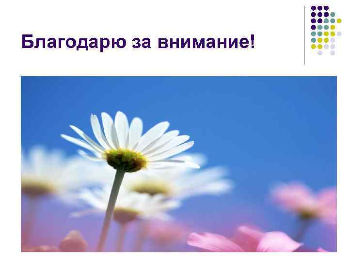 Благодарю за внимание! 