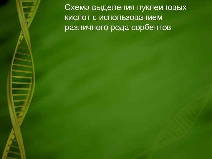 Схема выделения нуклеиновых кислот с использованием различного рода сорбентов 