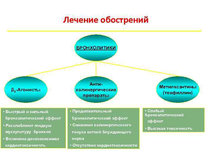       Лечение обострений      БРОНХОЛИТИКИ