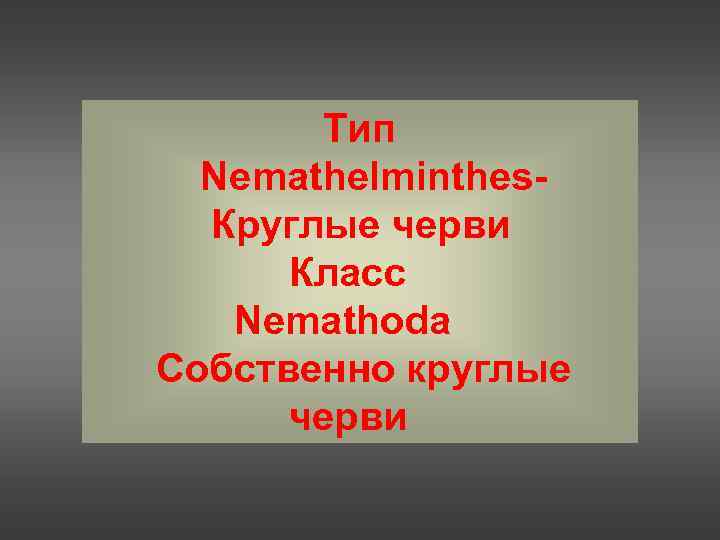   Тип  Nemathelminthes-  Круглые черви  Класс  Nemathoda Собственно круглые
