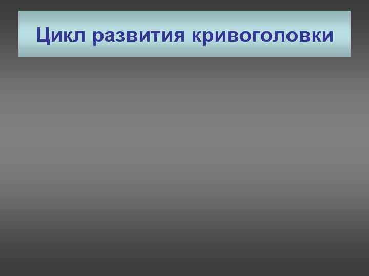 Цикл развития кривоголовки 