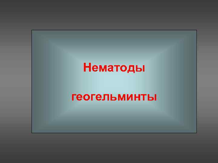  Нематоды геогельминты 