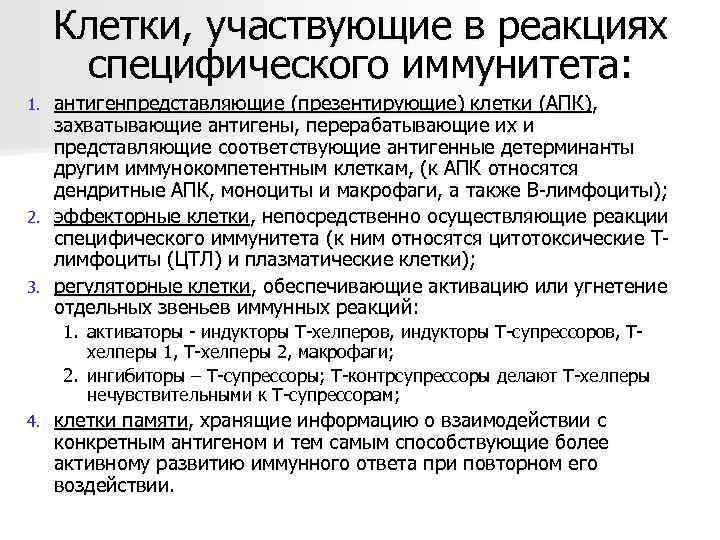  Клетки, участвующие в реакциях  специфического иммунитета: 1. антигенпредставляющие (презентирующие) клетки (АПК), захватывающие