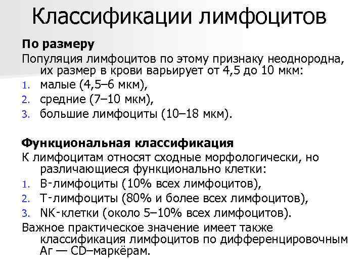  Классификации лимфоцитов По размеру Популяция лимфоцитов по этому признаку неоднородна, их размер в