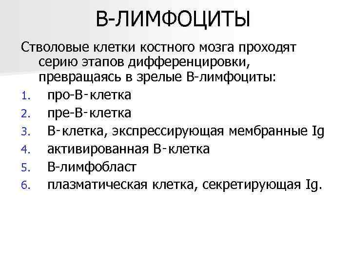    В-ЛИМФОЦИТЫ Стволовые клетки костного мозга проходят серию этапов дифференцировки, превращаясь в