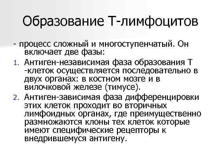  Образование Т-лимфоцитов - процесс сложный и многоступенчатый. Он включает две фазы:  1.