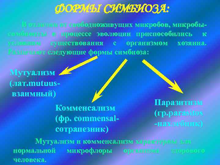 ФОРМЫ СИМБИОЗА: В отличии от свободноживущих микробов, микробы- симбионты в процессе эволюции приспособились к