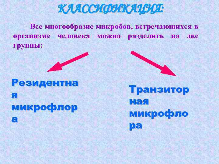 КЛАССИФИКАЦИЯ: Все многообразие микробов, встречающихся в организме человека можно разделить на две группы: Резидентна