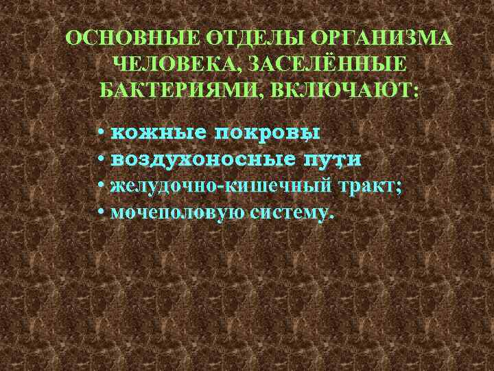 ОСНОВНЫЕ ОТДЕЛЫ ОРГАНИЗМА ЧЕЛОВЕКА, ЗАСЕЛЁННЫЕ БАКТЕРИЯМИ, ВКЛЮЧАЮТ: • кожные покровы ; • воздухоносные пути