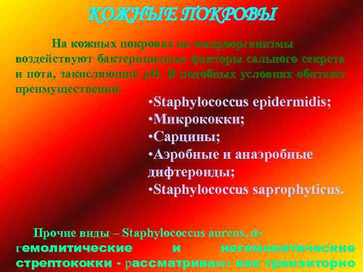 КОЖНЫЕ ПОКРОВЫ На кожных покровах на микроорганизмы воздействуют бактерицидные факторы сального секрета и пота,