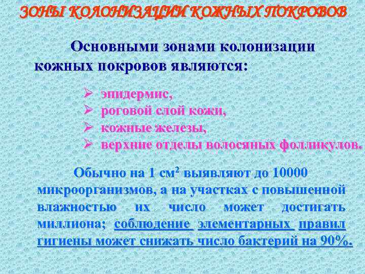 ЗОНЫ КОЛОНИЗАЦИИ КОЖНЫХ ПОКРОВОВ Основными зонами колонизации кожных покровов являются: Ø Ø эпидермис, роговой