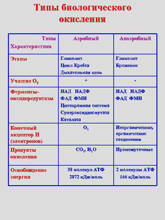 Биологическое окисление функции