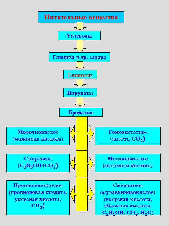   Питательные вещества    Углеводы   Глюкоза и др. сахара
