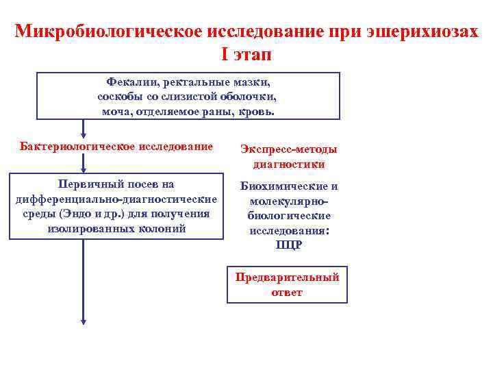 Схема лабораторной диагностики эшерихиозов