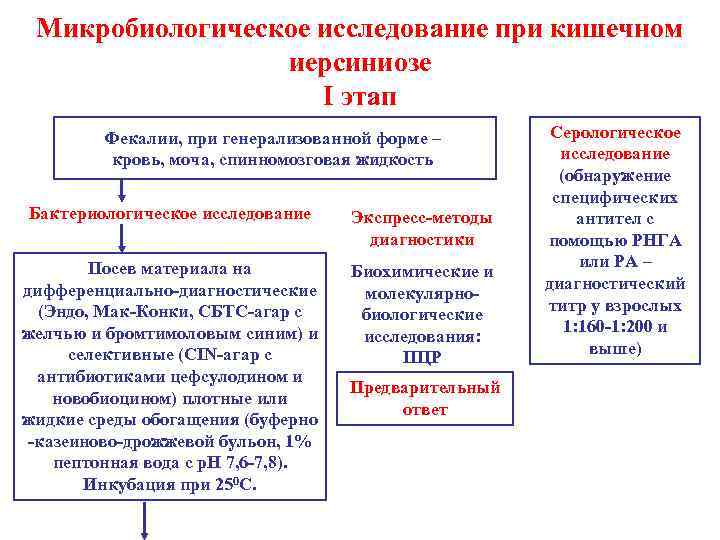 Диагностика иерсиниоза. Серологическое исследование при иерсиниозе. Этапы бактериологического метода исследования. Схема бактериологического исследования псевдотуберкулеза. Микробиологическая диагностика кишечный иерсиниоз.