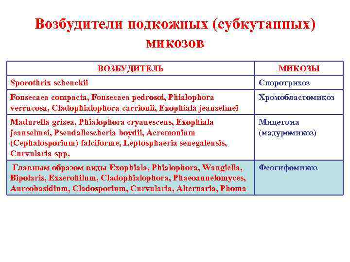 Возбудители подкожных (субкутанных) микозов ВОЗБУДИТЕЛЬ МИКОЗЫ Sporothrix schenckii Споротрихоз Fonsecaea compacta, Fonsecaea pedrosoi, Phialophora