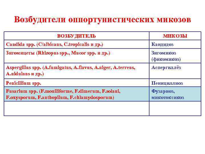 Возбудители оппортунистических микозов ВОЗБУДИТЕЛЬ МИКОЗЫ Candida spp. (C/albicans, C. tropicalis и др. ) Кандидоз