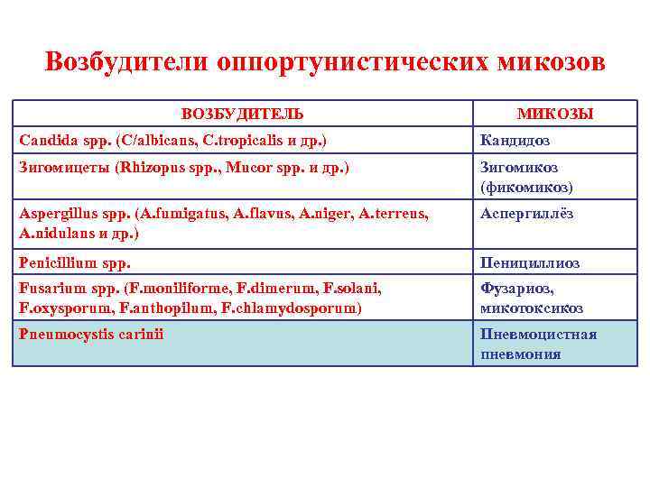Возбудители оппортунистических микозов ВОЗБУДИТЕЛЬ МИКОЗЫ Candida spp. (C/albicans, C. tropicalis и др. ) Кандидоз
