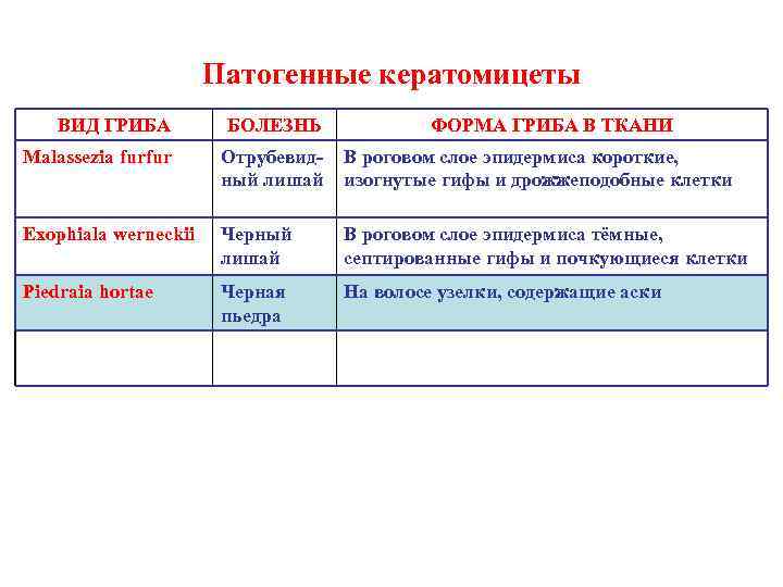 Патогенные кератомицеты ВИД ГРИБА БОЛЕЗНЬ ФОРМА ГРИБА В ТКАНИ Malassezia furfur Отрубевидный лишай В