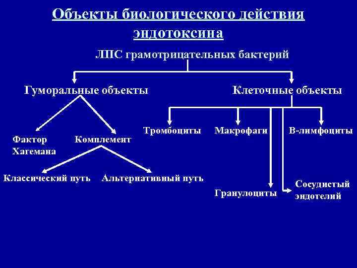   Объекты биологического действия    эндотоксина    