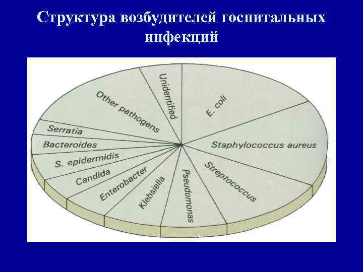 Структура возбудителей госпитальных   инфекций 