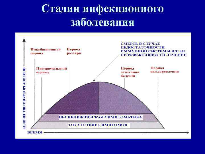 Стадии инфекционного заболевания 