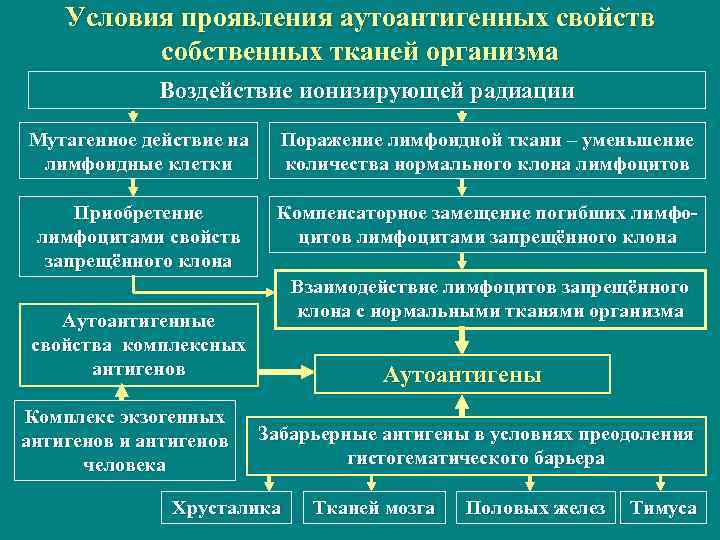   Условия проявления аутоантигенных свойств  собственных тканей организма   Воздействие ионизирующей