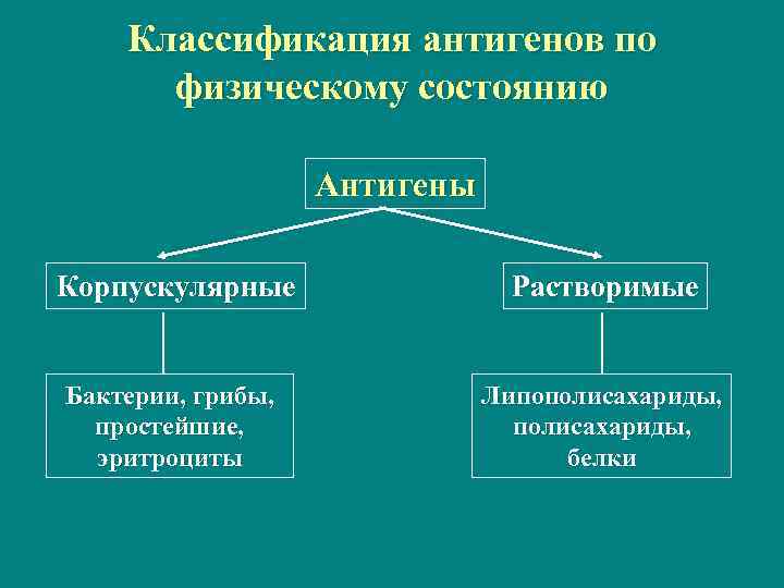   Классификация антигенов по  физическому состоянию     Антигены Корпускулярные