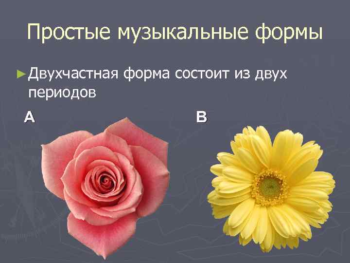  Простые музыкальные формы ► Двухчастная  форма состоит из двух периодов A 