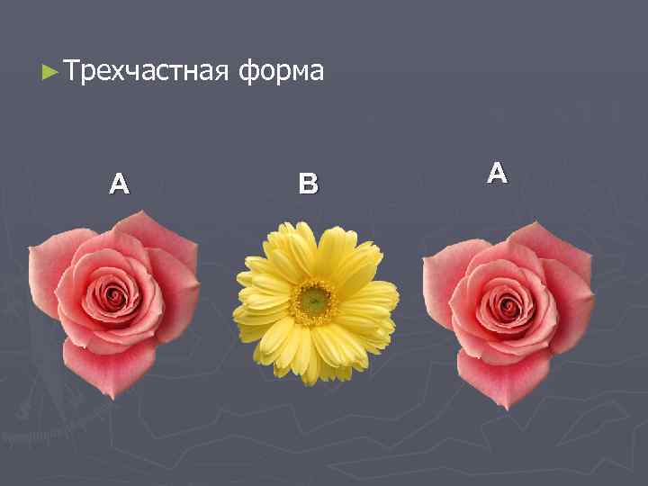 ► Трехчастная  форма  A   B  A 