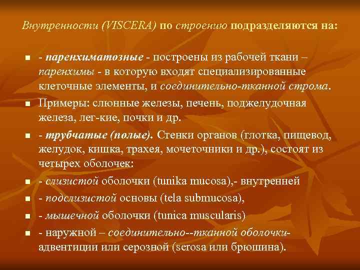 Внутренности (VISCERA) по строению подразделяются на:  n паренхиматозные  построены из рабочей ткани