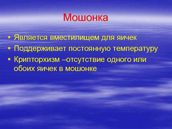     Мошонка §  Является вместилищем для яичек §  Поддерживает
